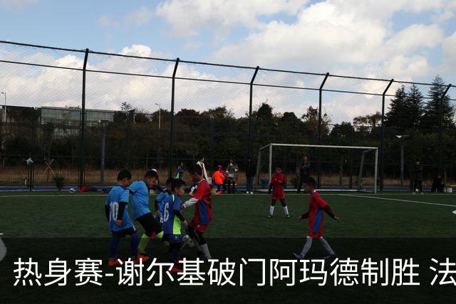 热身赛-谢尔基破门阿玛德制胜 法国1-2遭科特迪瓦逆转